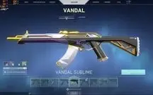 Conta de Valorant MUITAS SKINS!