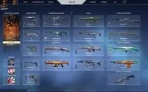 Conta de Valorant MUITAS SKINS!
