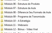 CURSO MÉTODO VGL DE VENDAS TIAGO FONSECA + BÔNUS