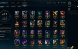 Conta League of Legends, 113 Skins