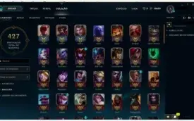 Conta League of Legends, 113 Skins
