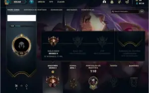 Conta bronze 2 com 14 skins e 48 champs