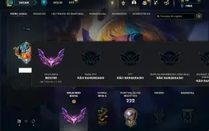Mestre com 75 Champs e 28 Skins + 11 Fragmentos