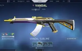CONTA VALORANT DIVERSAS SKINS
