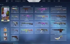 CONTA VALORANT DIVERSAS SKINS