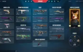 Conta pessoal Valorant - Muitas skins