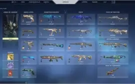 Conta valorant prata 1 + 2 coleções + 3 passes
