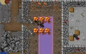 Servidor De Tibia Global Versão 10.00~11.86 C/S Site+Sources