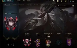 Conta level 370 grão mestre flex 339 skins