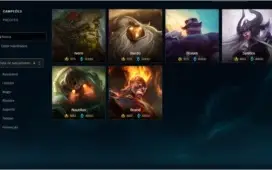 Conta level 370 grão mestre flex 339 skins