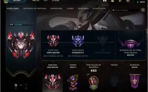 Conta level 370 grão mestre flex 339 skins