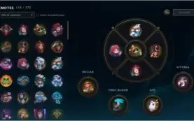 Conta level 370 grão mestre flex 339 skins
