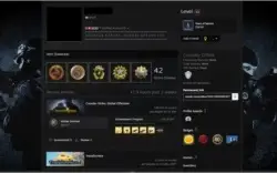 Conta Steam com CSGO prime e medalhas RARAS