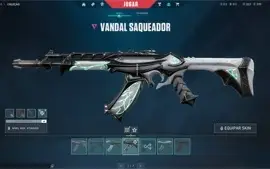 Conta LOL Platina 4 com 669 Skins + conta valorant
