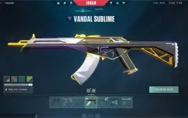 Conta LOL Platina 4 com 669 Skins + conta valorant