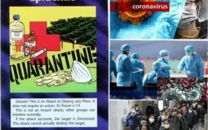 Jogo De Cartas Illuminati N.W.O Traduzido Para Português!