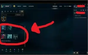 Conta borda Prata com 49 campeões e 8 skins