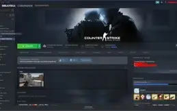 CONTA STEAM MEDALHA 5 ANOS CSGO 3 MIL HORAS PRIME + MEDALHAS
