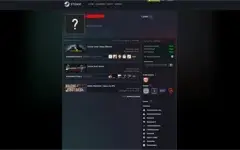 CONTA STEAM MEDALHA 5 ANOS CSGO 3 MIL HORAS PRIME + MEDALHAS