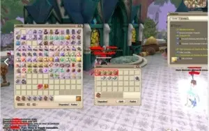 Conta lv 58, 2 montarias 100%, 774 barros