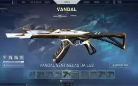 conta valorant com mais de 1625 reais gastos
