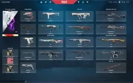 Conta valorant beta com 2000 reais gastos