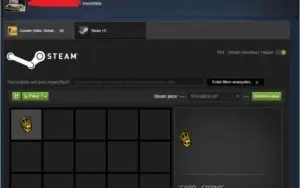 CONSTA STEAM - CSGO +900HRS