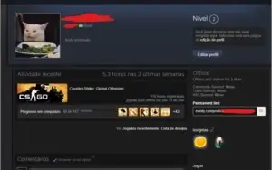 CONSTA STEAM - CSGO +900HRS