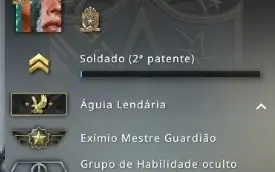 CONTA AGUIA + SKINS