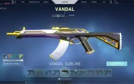 CONTA VALORANT MUITAS SKINS