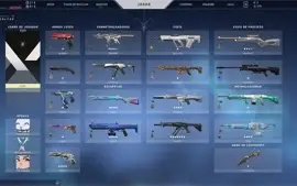 CONTA VALORANT MUITAS SKINS