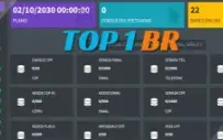 Melhor painel Consulta Dados Do Brasil! Plano: 24 Horas
