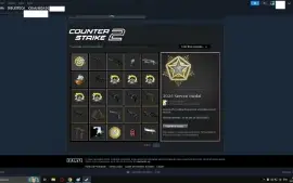 Conta Cs 2 20K Pontos 3K Horas 4 Broches Skins E Jogos 20Gc