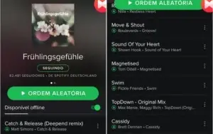 Spotify Premium ( CONTA VITALICIA)