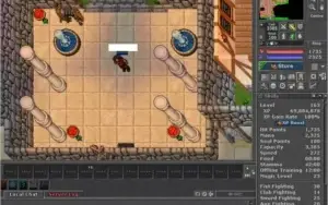PALADIN 163 + PAL 36 + ROOK 23 + LOYALTY CONTA ANTIGA NEFERA
