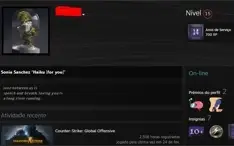 CONTA STEAM 14 ANOS DE SERVIÇO, HORAS JOGADAS CSGO, DOTA ETC