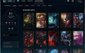 Conta Lol prata 2, 81 skins, diversos ícones e 100 campeões