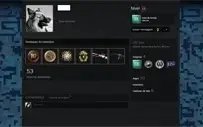 18 ANOS STEAM, PRIME, 10 E 5 ANOS, MEDALHA 2019, AWP ASIIMOV