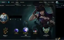 Conta Platina V