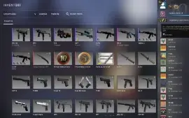 Steam 18 Anos Csgo Prime Águia2 Lvl 17 Gc Skin De Faca