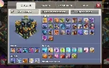 Cv17 top