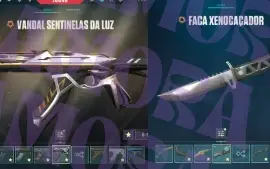 Conta Valorant + Lol / Fa, Mais De 2K Gastos