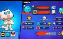 Conta Brawl com muitas skin