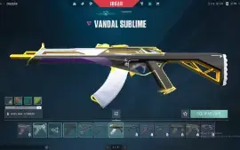 Conta Valorant Full Acesso Com Muitas Skins