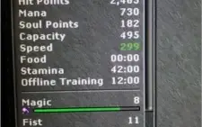 Conta Tibia Sorcerer 300 Pally 220 Druid 215