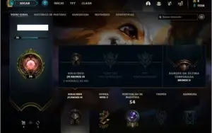 Conta bronze  3 com 10 skins e 27 champs
