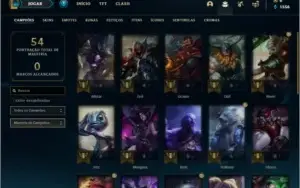 Conta bronze  3 com 10 skins e 27 champs