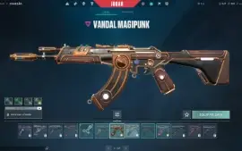 Conta Valorant Com Muitas Skins Lvl 113