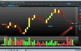 Cursos Day Trade Bolsa de Valores
