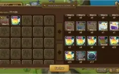 acc global 24nat 5